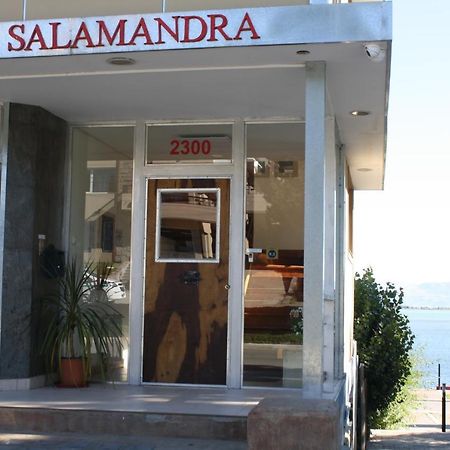 Salamandra Apartamentos エル・カラファテ エクステリア 写真