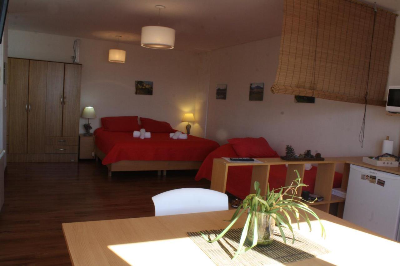 Salamandra Apartamentos エル・カラファテ エクステリア 写真