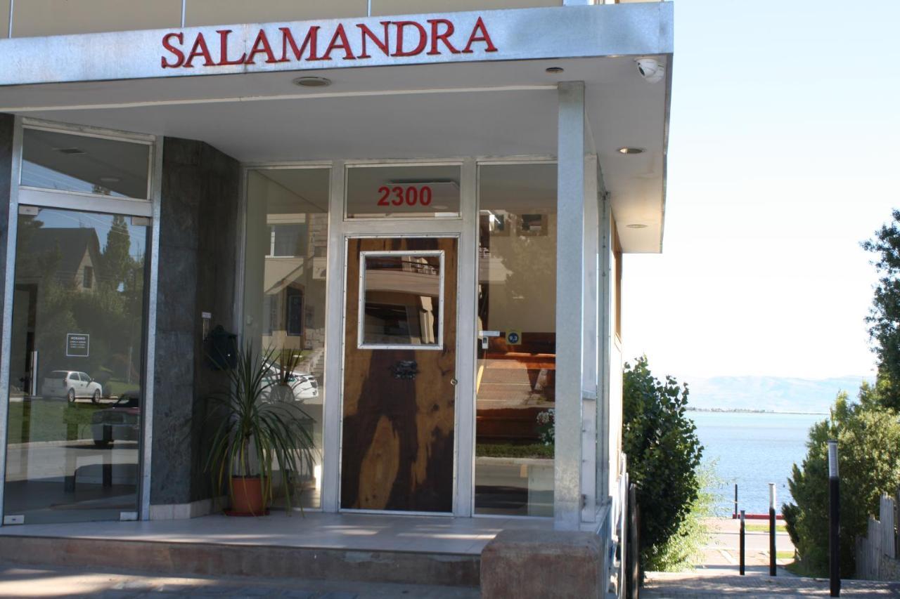 Salamandra Apartamentos エル・カラファテ エクステリア 写真