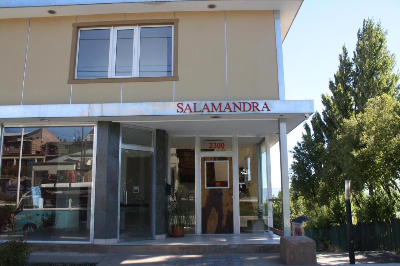 Salamandra Apartamentos エル・カラファテ エクステリア 写真